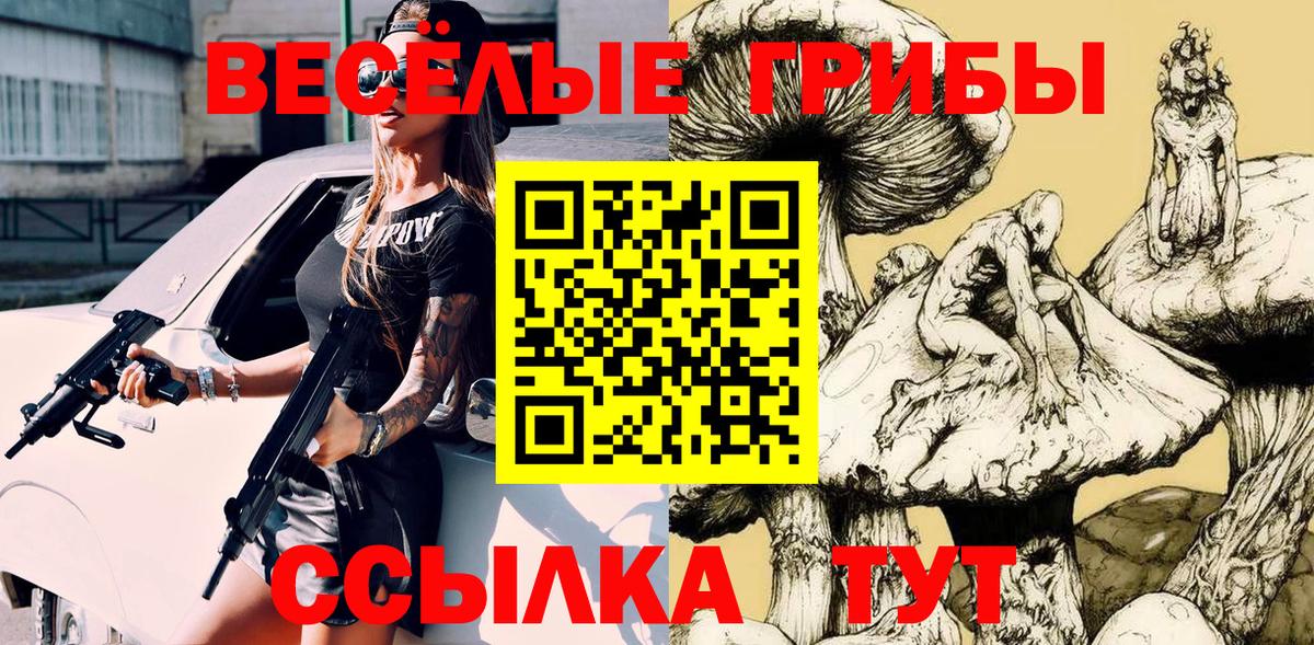 Галлюциногенные грибы Psilocybe Балашиха